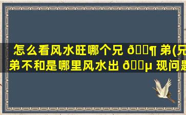 怎么看风水旺哪个兄 🐶 弟(兄弟不和是哪里风水出 🌵 现问题)